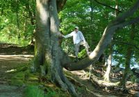 Glenridding Lake Walks