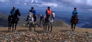 cumbria bridleways