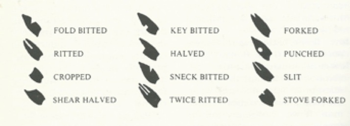 cumbria dialect