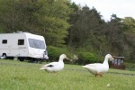 Adult Only Caravan Lake District
