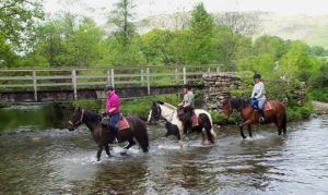 cumbria bridleways