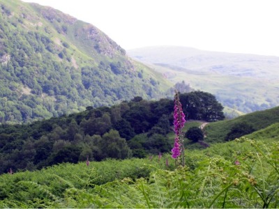 grasmere walks