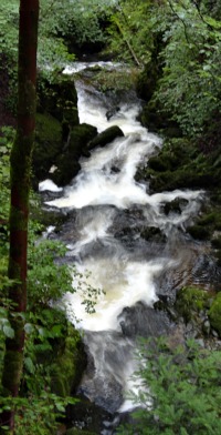 Stock Ghyll Force Waterfall Ambleside