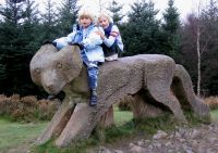 ridding wood grizedale