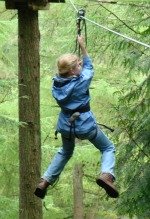 grizedale go ape