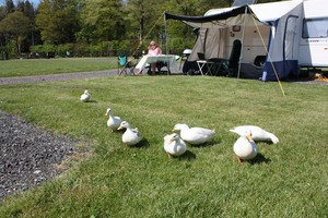 tranquil caravan park for adults near Carlisle